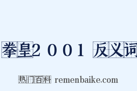 拳皇2001反义词是什么意思的图片